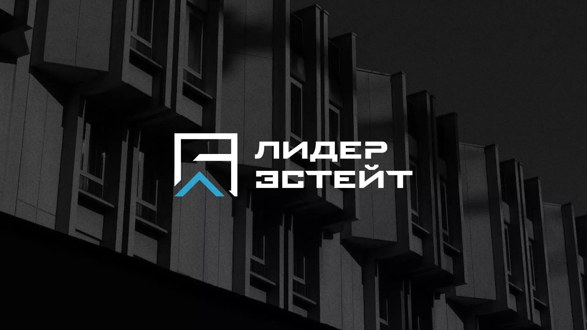 Разработка логотипа агентства недвижимости «Лидер Эстейт» в Черняховске