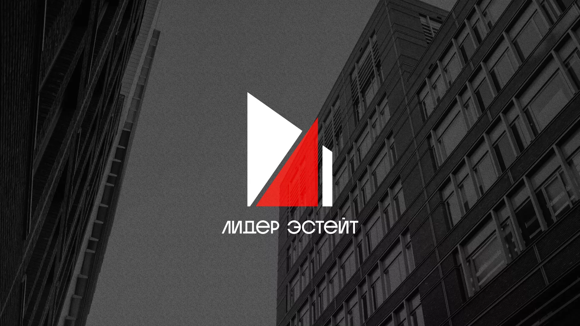 Сделали логотип для агентства недвижимости «Лидер Эстейт» в Черняховске